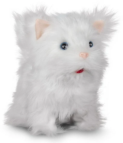 Chaton mignon marcheur