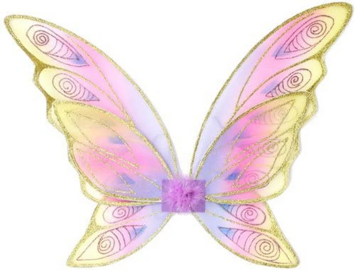 Ailes arc-en-ciel scintillantes en or