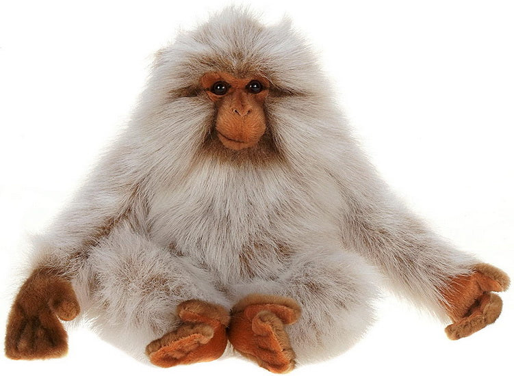 Macaque Japonais 22cm