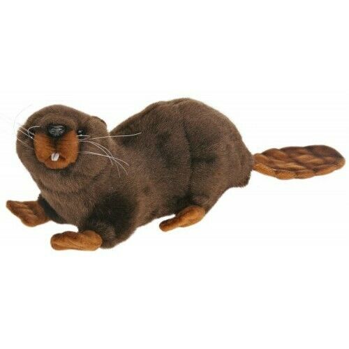 Peluche Castor 26cm