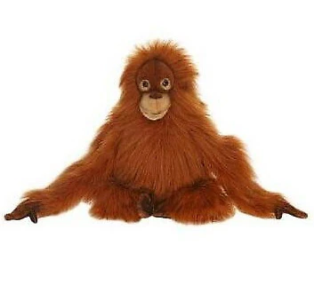 Peluche Orang-outan 35cm
