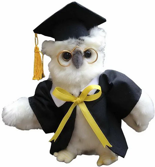 Peluche hibou blanc de graduation 17cm