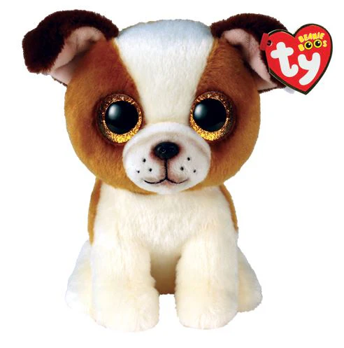 Chien brun et blanc Hugo petit