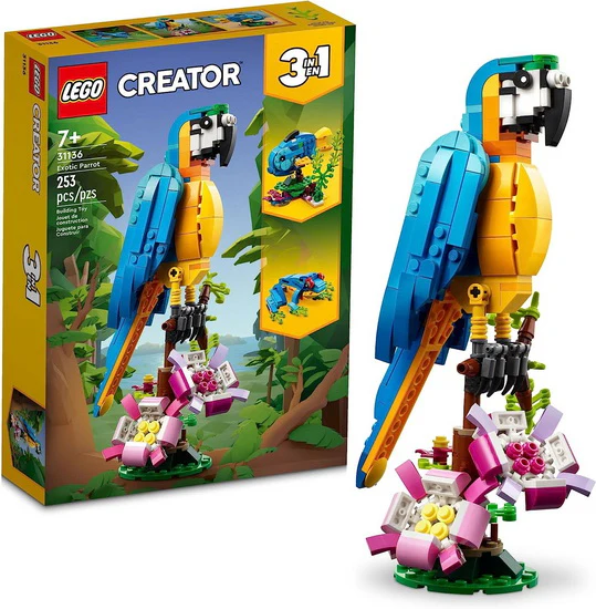 Le perroquet exotique