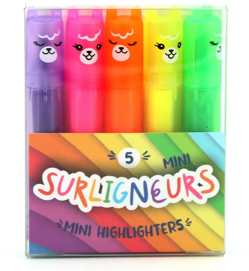 Ens. 5 minis surligneurs