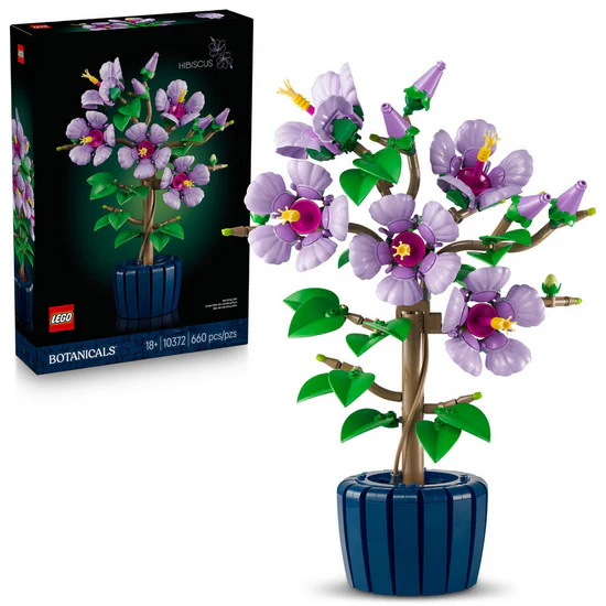 L’hibiscus
