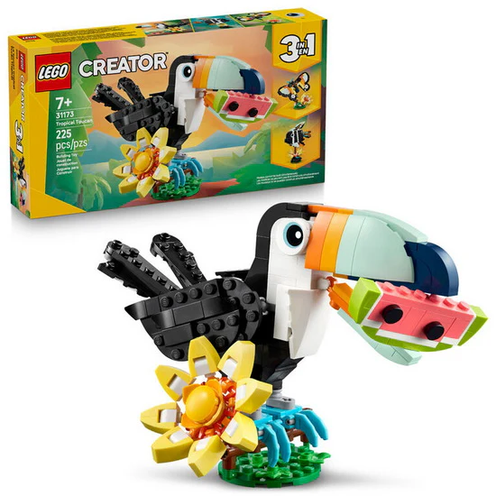 Animaux sauvages : le toucan tropical