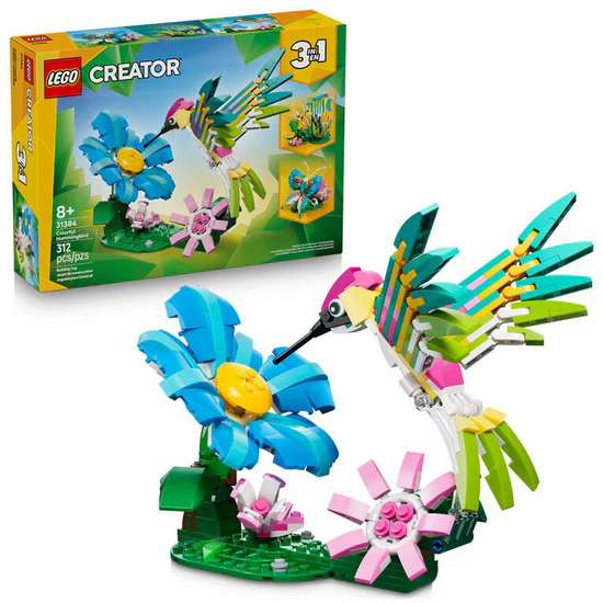 Animaux sauvages : le colibri coloré