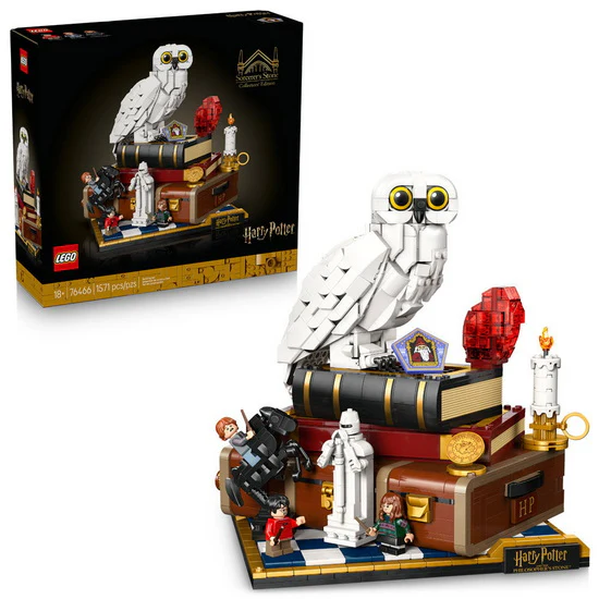L’école des sorciers Éd. collector