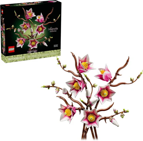 Les branches de magnolia